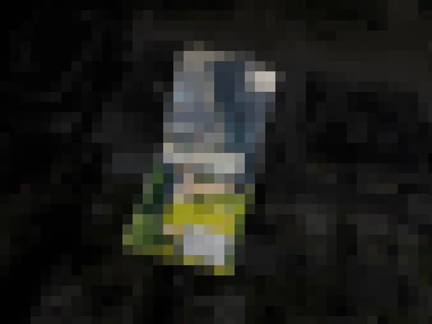 Hemsinge 22 Zuidlaren thumbnail 72