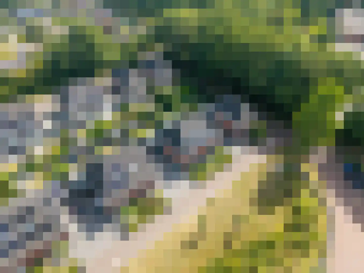 Hemsinge 22 Zuidlaren thumbnail 73