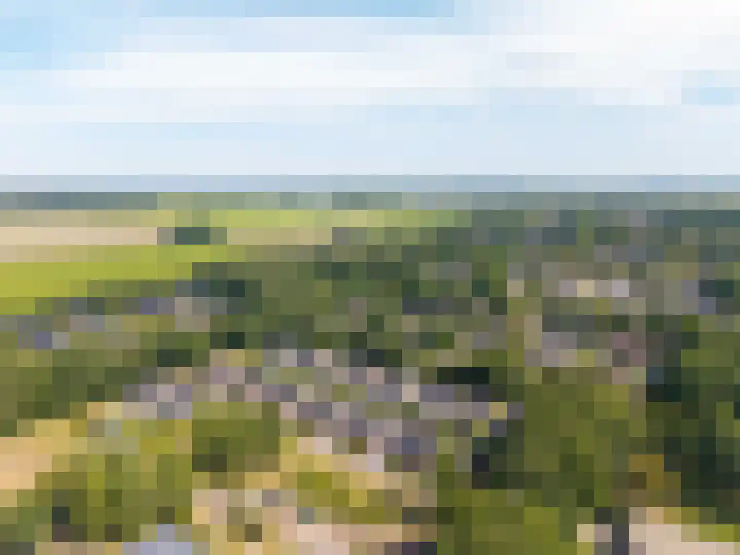 Hemsinge 22 Zuidlaren thumbnail 74