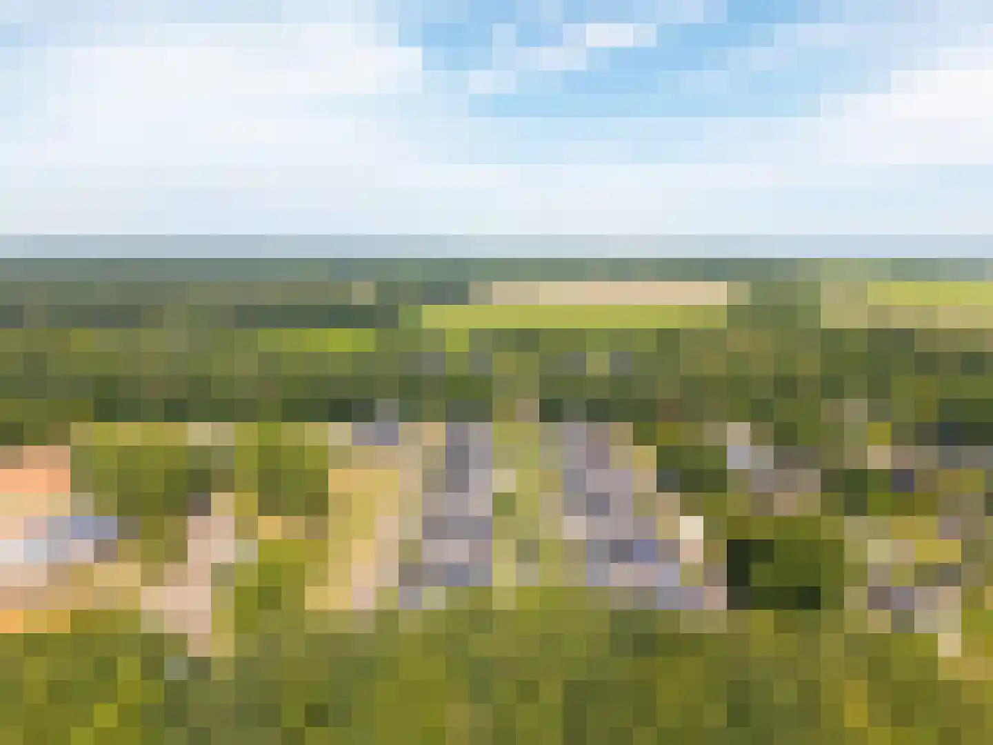 Hemsinge 22 Zuidlaren thumbnail 75