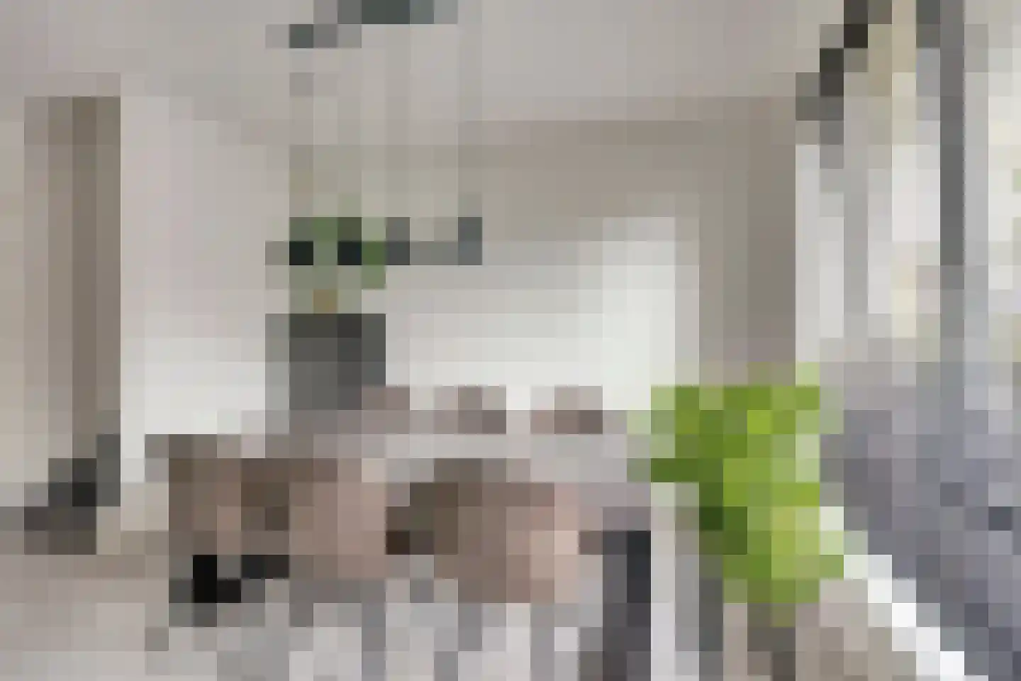 Hemsink 16 Biddinghuizen thumbnail 15