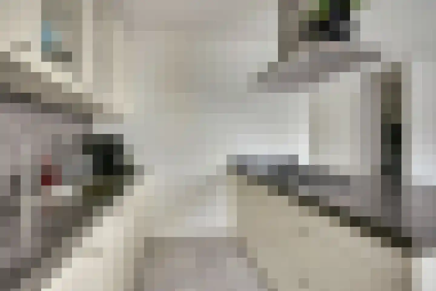 Hemsink 16 Biddinghuizen thumbnail 19