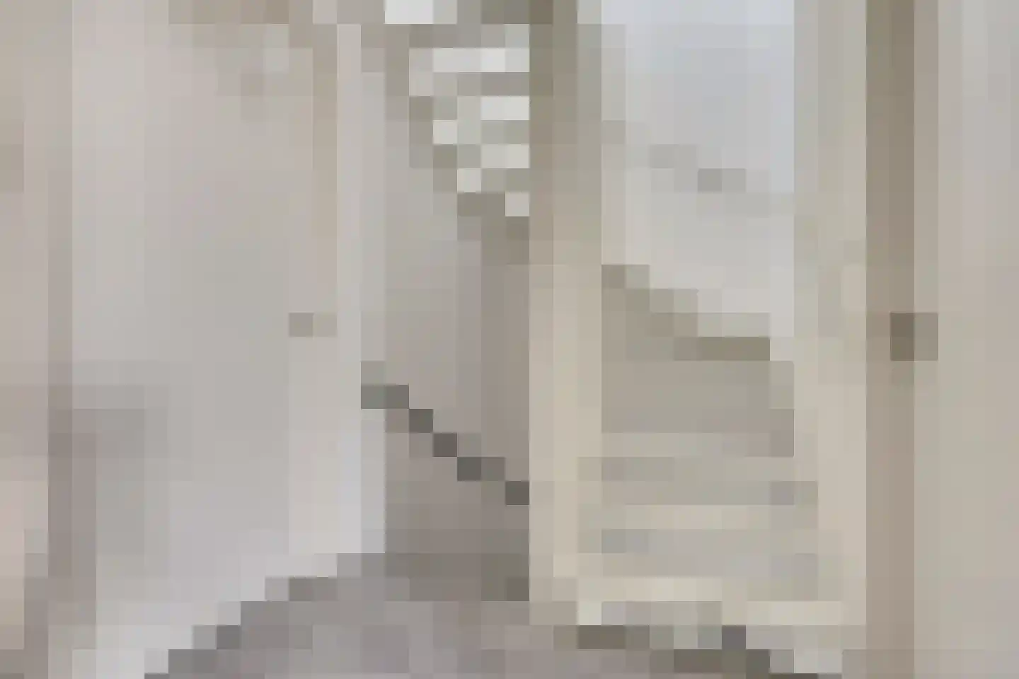 Hemsink 16 Biddinghuizen thumbnail 22