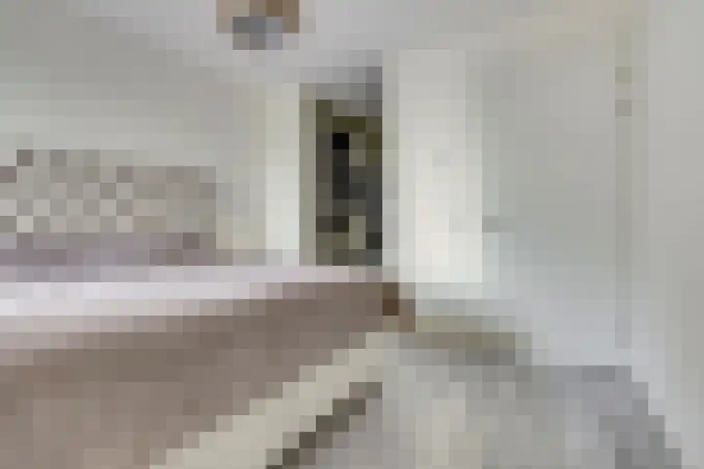 Hemsink 16 Biddinghuizen thumbnail 24