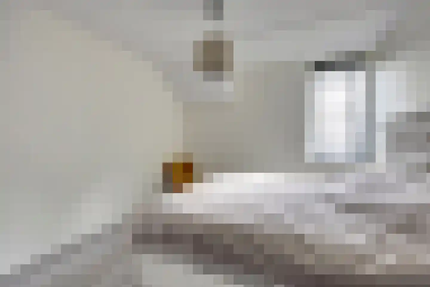 Hemsink 16 Biddinghuizen thumbnail 25