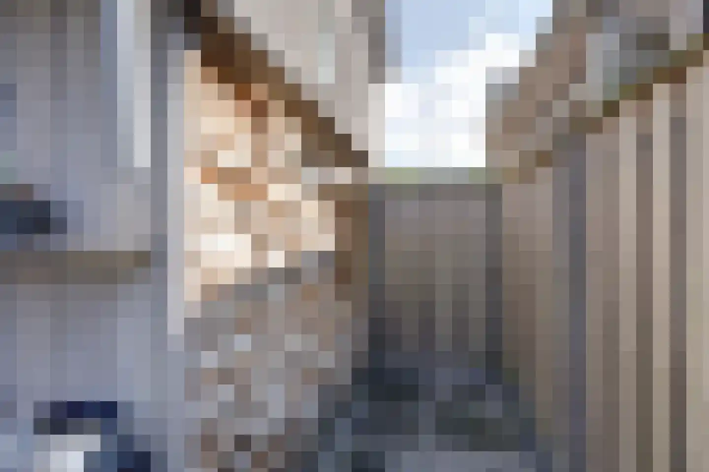 Hemsink 16 Biddinghuizen thumbnail 48