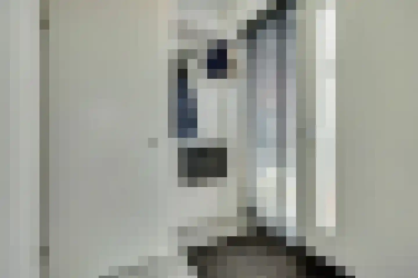 Hemsink 16 Biddinghuizen thumbnail 6