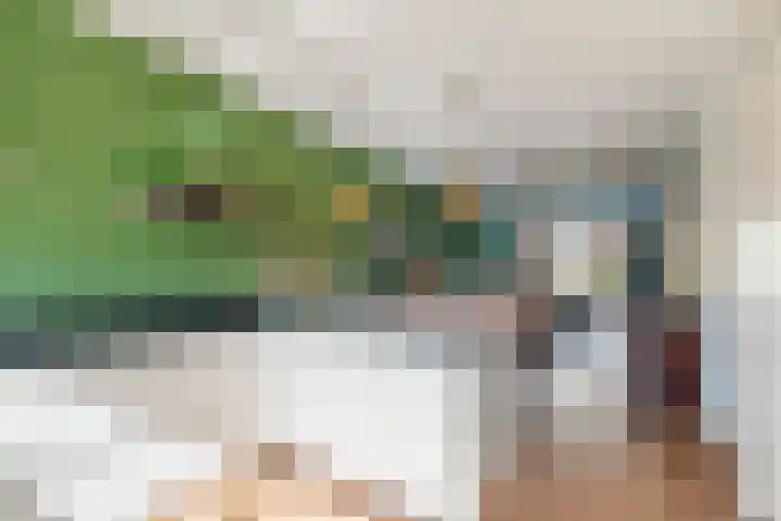 Hemsink 20 Biddinghuizen thumbnail 10