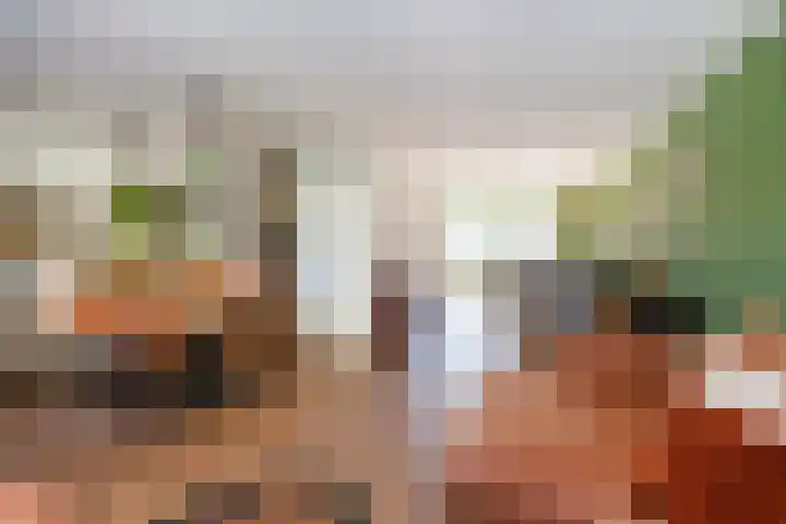 Hemsink 20 Biddinghuizen thumbnail 12