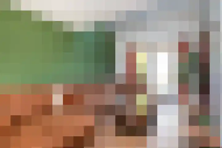 Hemsink 20 Biddinghuizen thumbnail 13