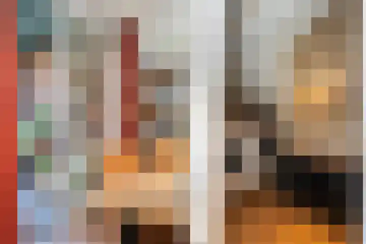 Hemsink 20 Biddinghuizen thumbnail 15