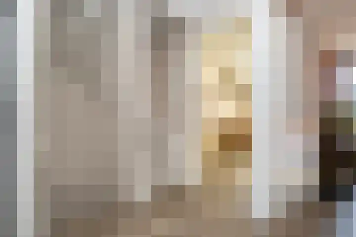 Hemsink 20 Biddinghuizen thumbnail 16