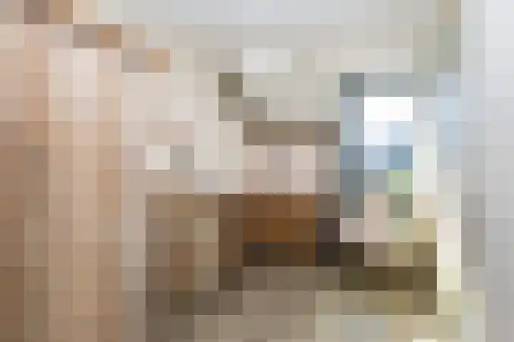 Hemsink 20 Biddinghuizen thumbnail 18