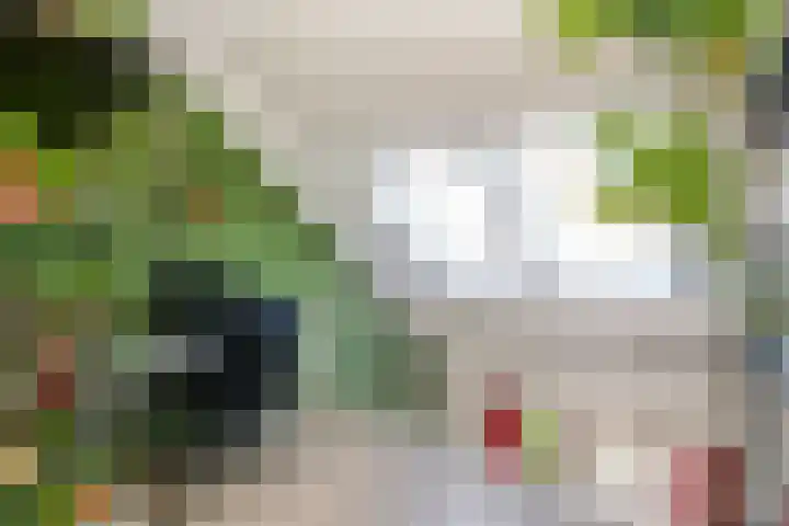 Hemsink 20 Biddinghuizen thumbnail 20