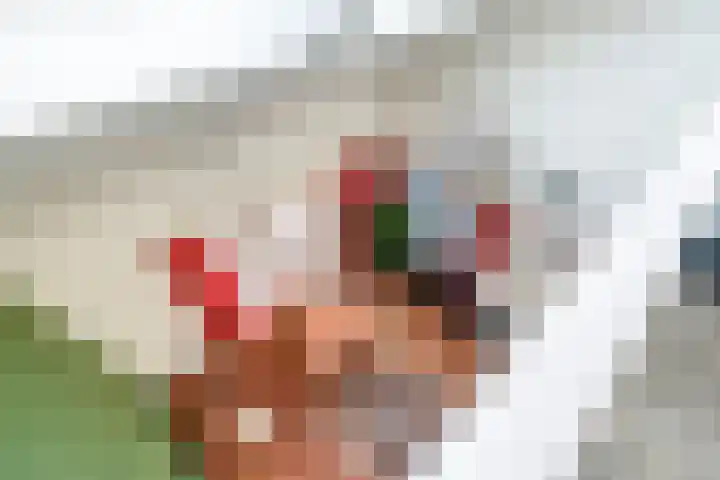 Hemsink 20 Biddinghuizen thumbnail 21