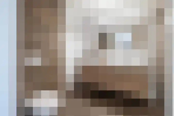 Hemsink 20 Biddinghuizen thumbnail 22