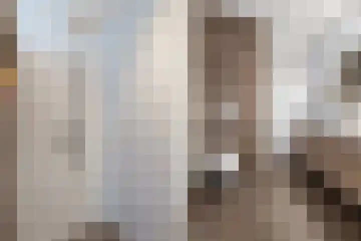 Hemsink 20 Biddinghuizen thumbnail 23