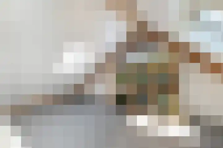 Hemsink 20 Biddinghuizen thumbnail 24