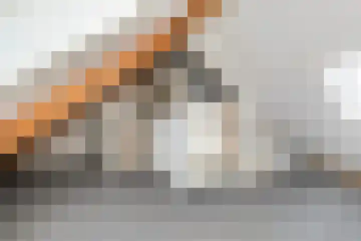 Hemsink 20 Biddinghuizen thumbnail 25