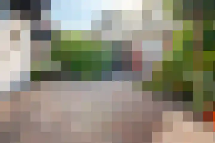 Hemsink 20 Biddinghuizen thumbnail 27