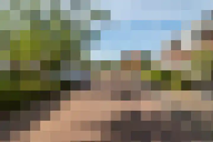 Hemsink 20 Biddinghuizen thumbnail 30