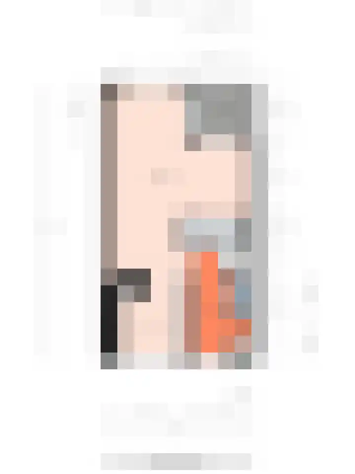 Hemsink 20 Biddinghuizen thumbnail 32