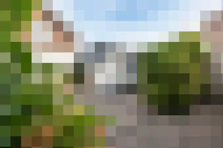 Hemsink 20 Biddinghuizen thumbnail 4