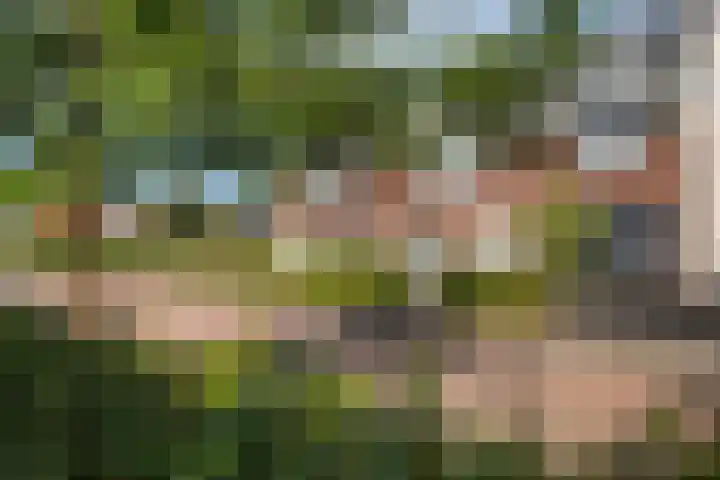 Hemsink 20 Biddinghuizen thumbnail 6