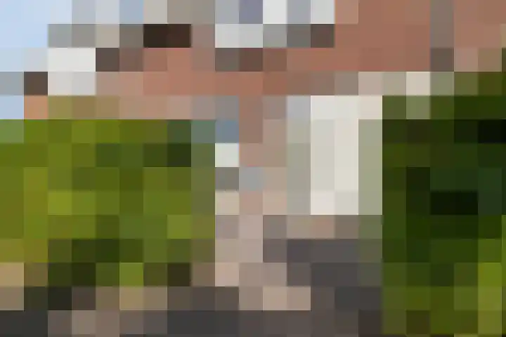 Hemsink 20 Biddinghuizen thumbnail 7