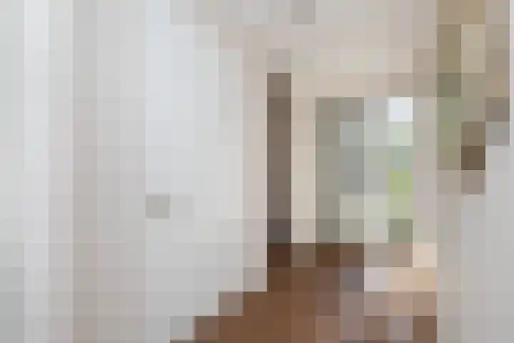 Hemsink 20 Biddinghuizen thumbnail 8