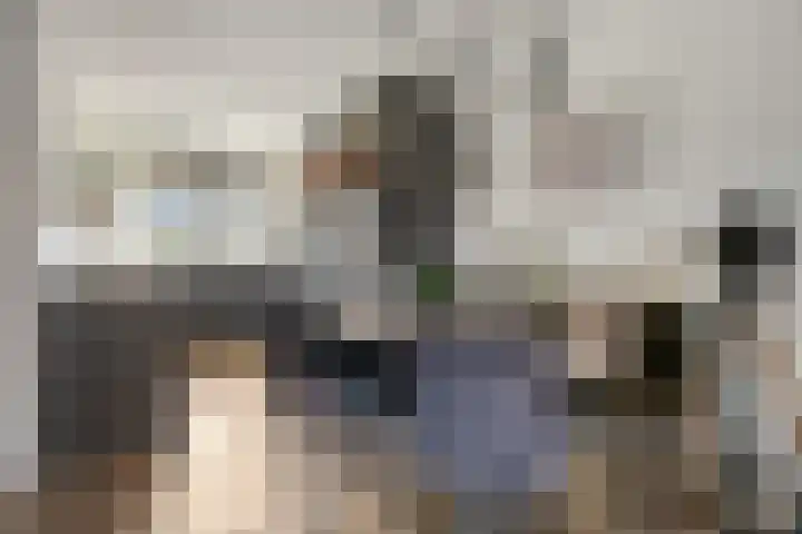 Hemsink 38 Biddinghuizen thumbnail 12