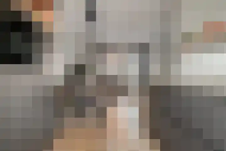 Hemsink 38 Biddinghuizen thumbnail 14