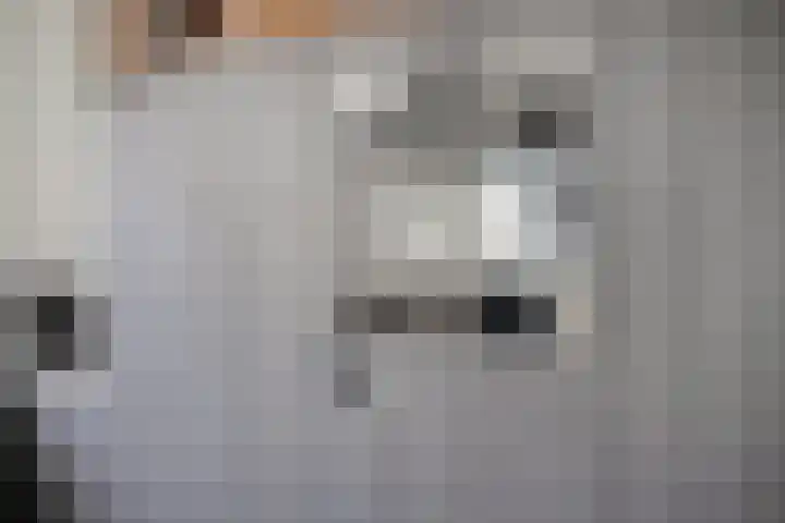 Hemsink 38 Biddinghuizen thumbnail 15