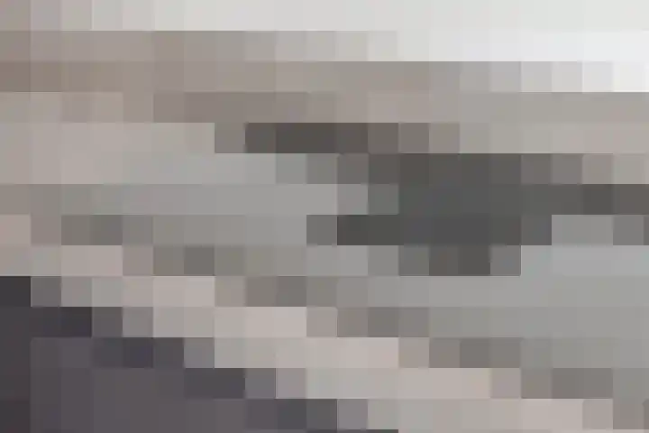 Hemsink 38 Biddinghuizen thumbnail 16