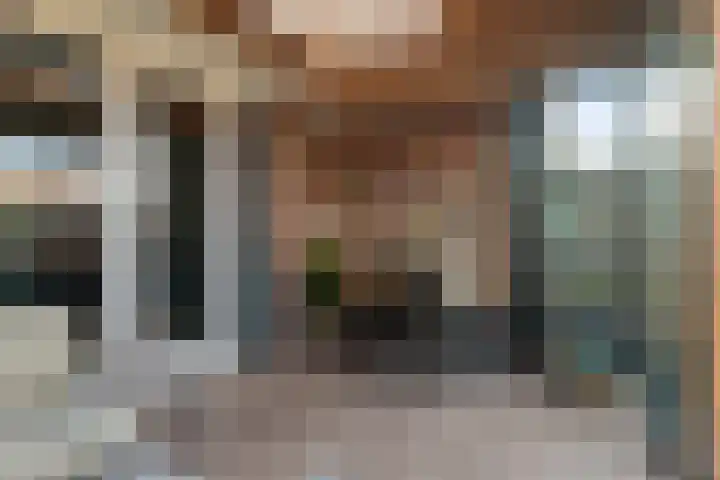 Hemsink 38 Biddinghuizen thumbnail 18