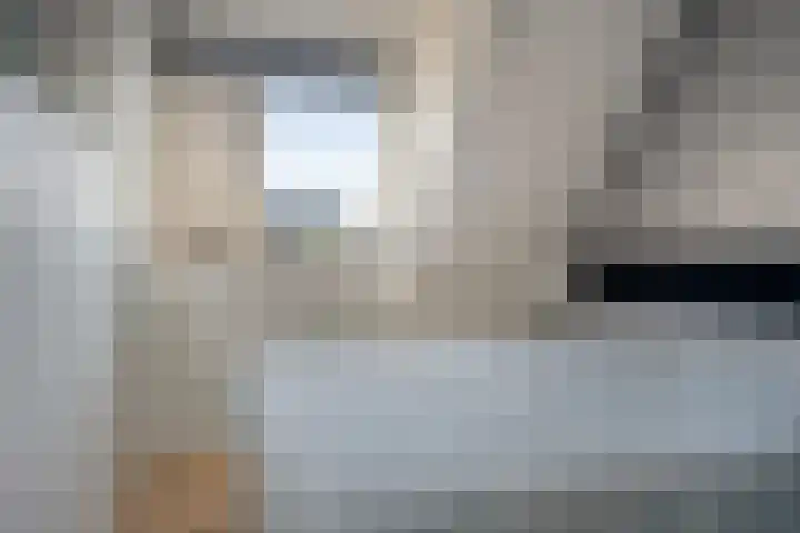Hemsink 38 Biddinghuizen thumbnail 21