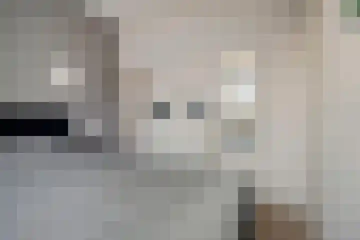 Hemsink 38 Biddinghuizen thumbnail 22