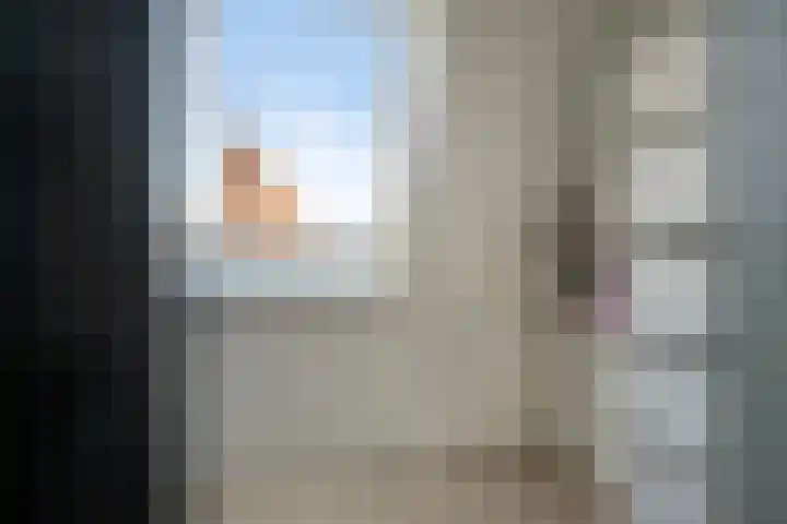 Hemsink 38 Biddinghuizen thumbnail 24