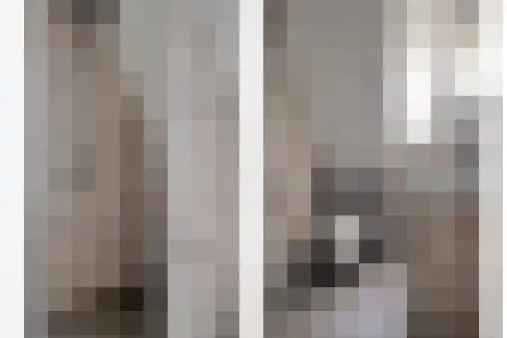 Hemsink 38 Biddinghuizen thumbnail 25