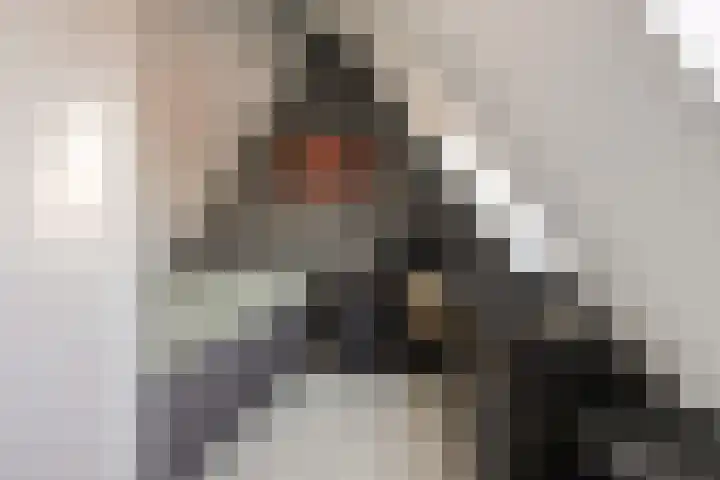 Hemsink 38 Biddinghuizen thumbnail 26