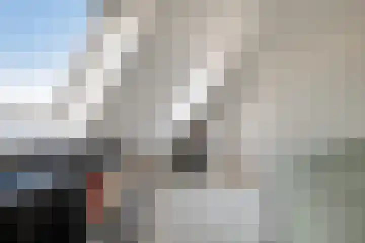Hemsink 38 Biddinghuizen thumbnail 27
