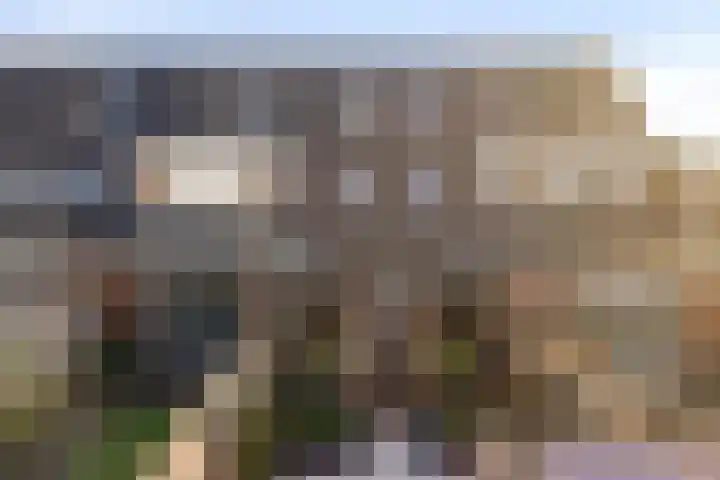 Hemsink 38 Biddinghuizen thumbnail 30