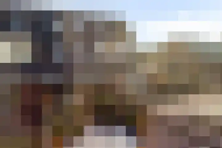 Hemsink 38 Biddinghuizen thumbnail 31