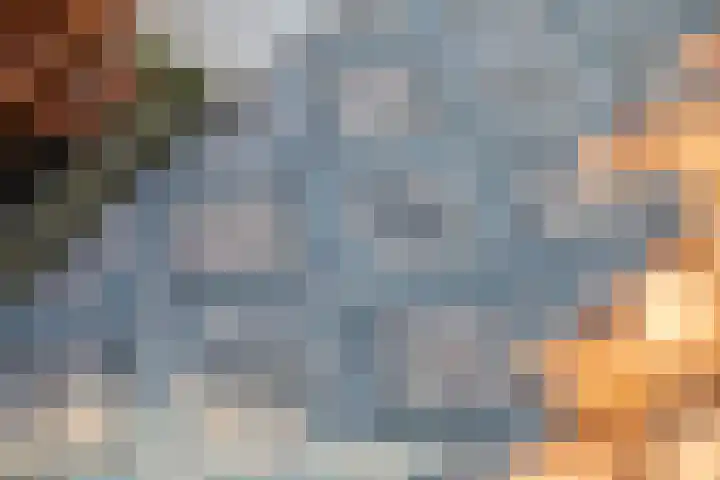 Hemsink 38 Biddinghuizen thumbnail 6