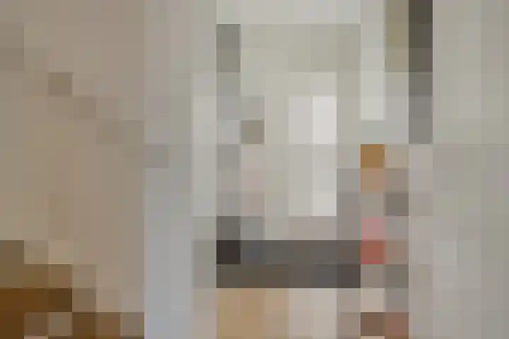 Hemsink 38 Biddinghuizen thumbnail 7