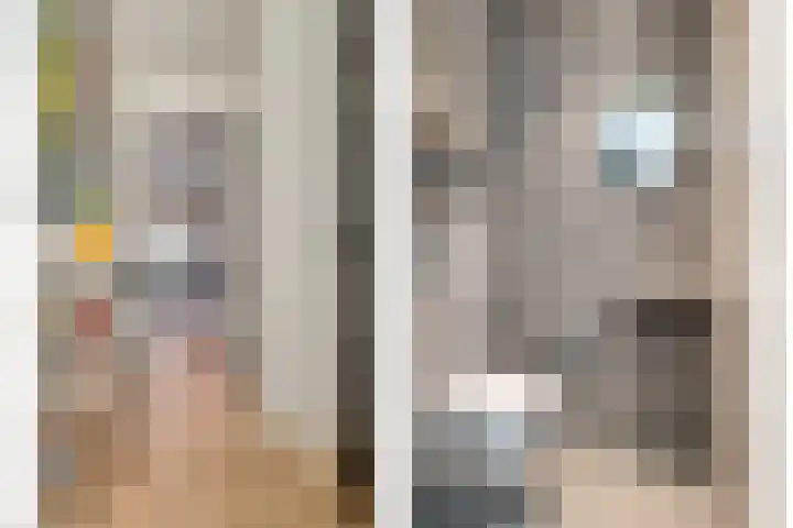 Hemsink 38 Biddinghuizen thumbnail 8