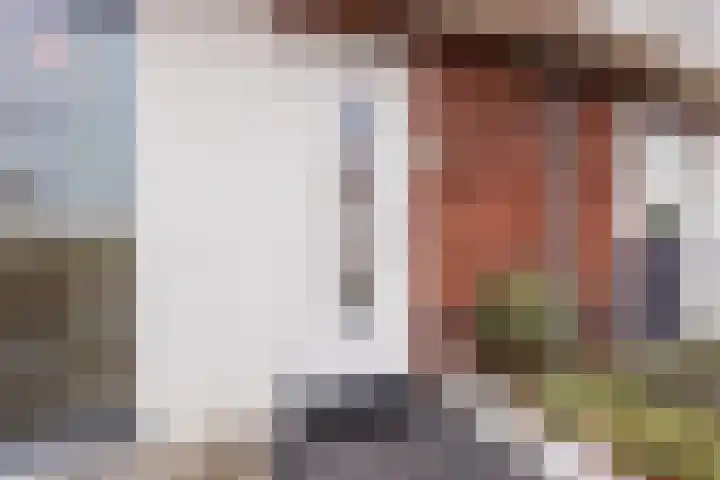 Hemsink 49 Biddinghuizen thumbnail 11