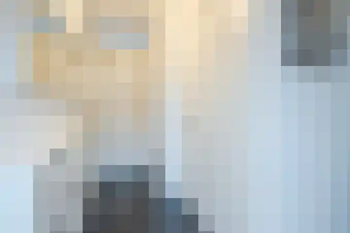 Hemsink 49 Biddinghuizen thumbnail 12