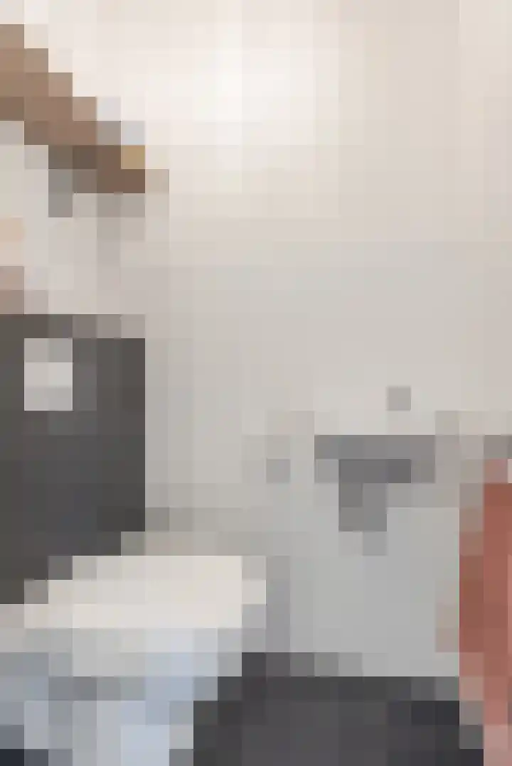 Hemsink 49 Biddinghuizen thumbnail 13