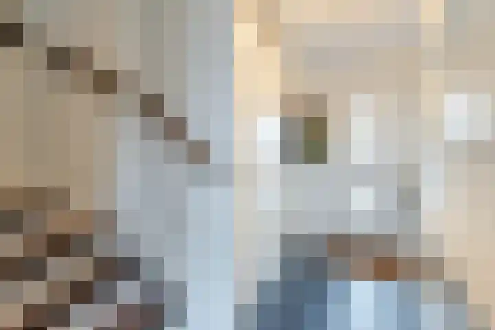 Hemsink 49 Biddinghuizen thumbnail 14